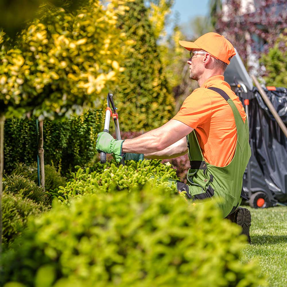 ARIL Services prend soin de votre jardin et de votre cadre de vie